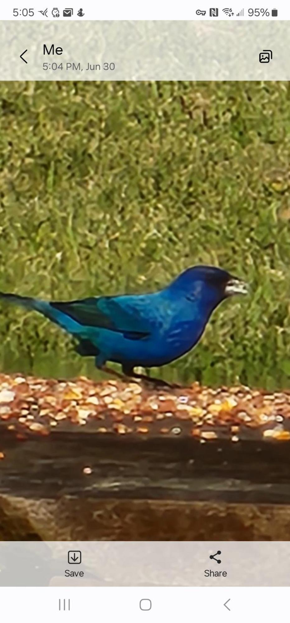 Sisters On Sycamore B&B Russellville Luaran gambar