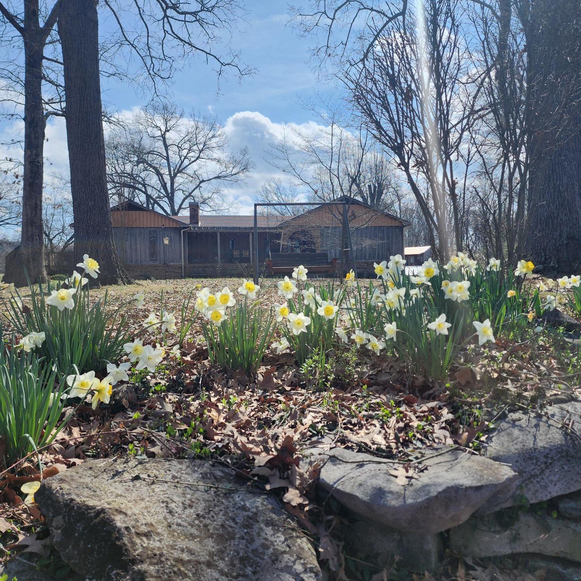 Sisters On Sycamore B&B Russellville Luaran gambar