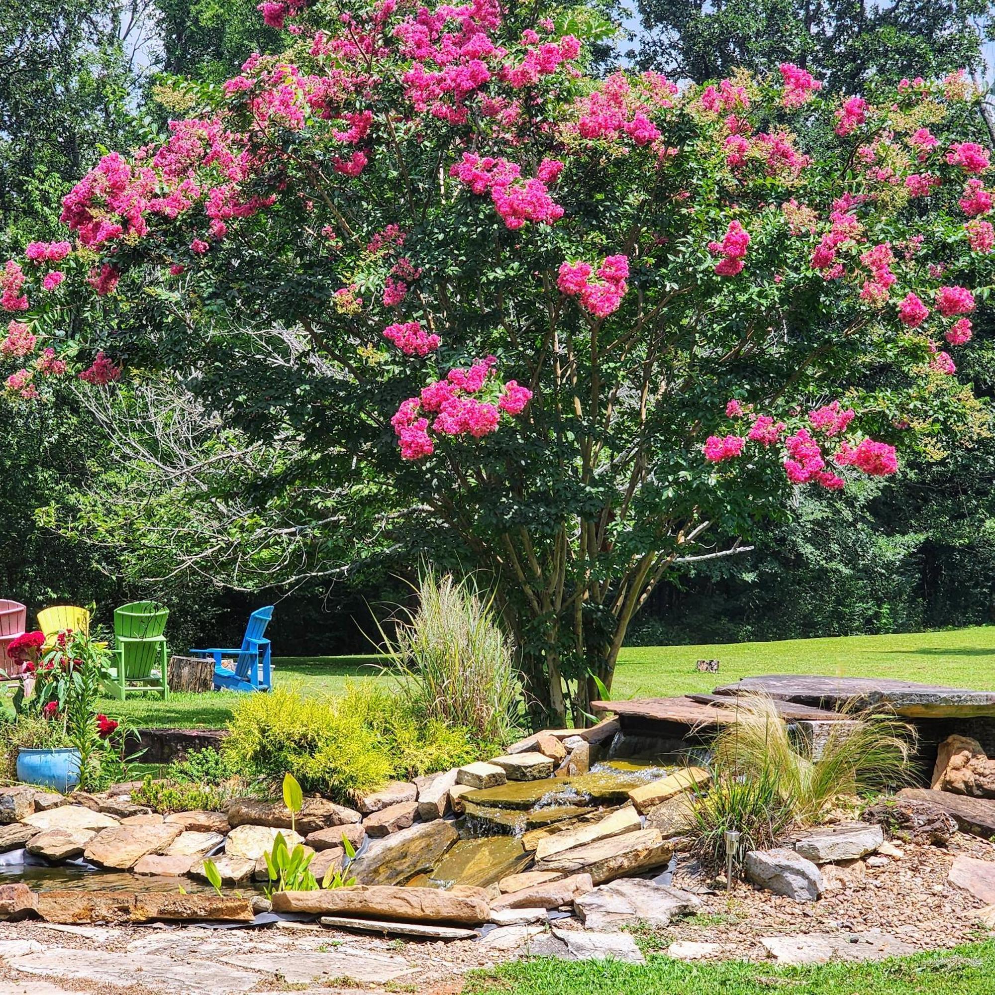 Sisters On Sycamore B&B Russellville Luaran gambar