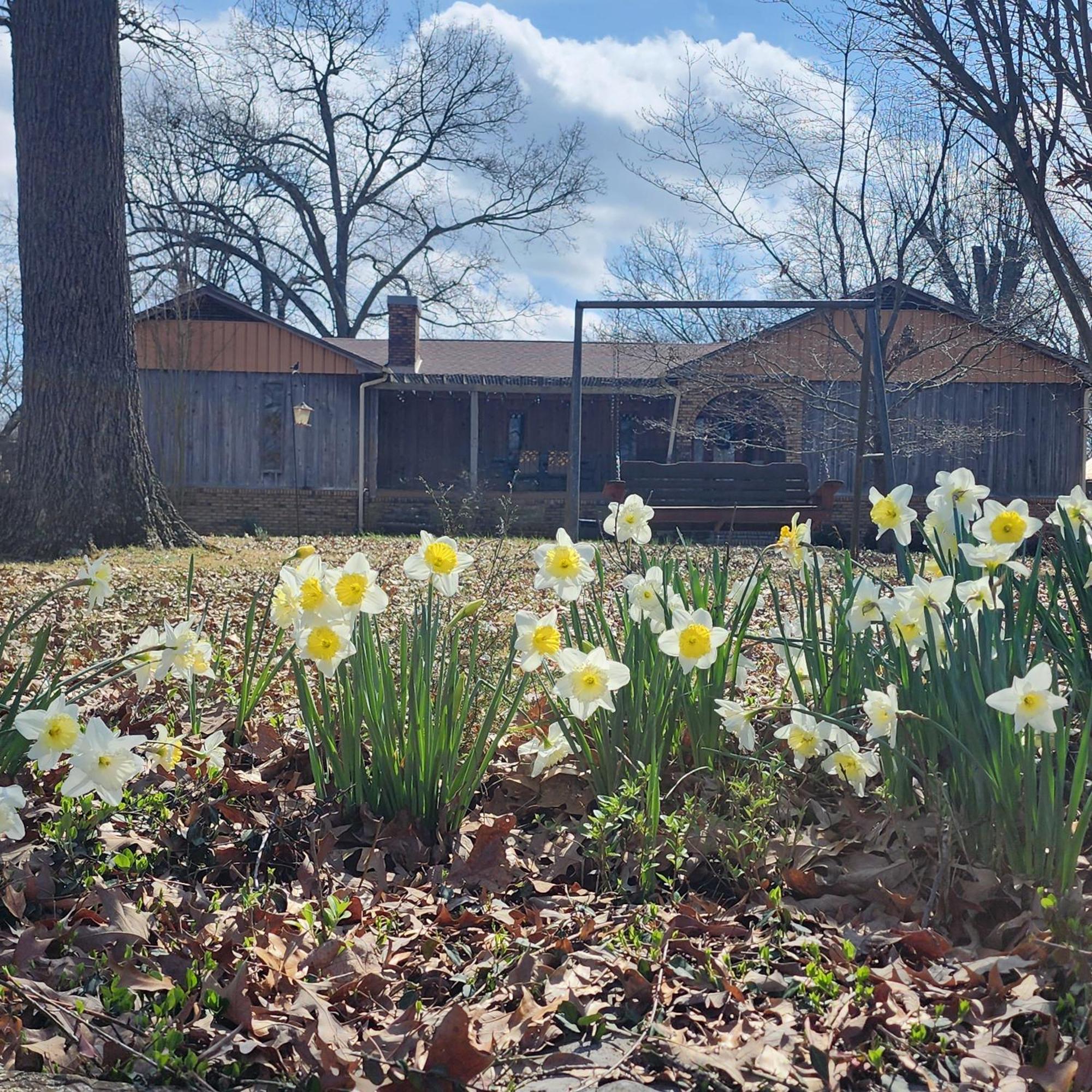Sisters On Sycamore B&B Russellville Luaran gambar