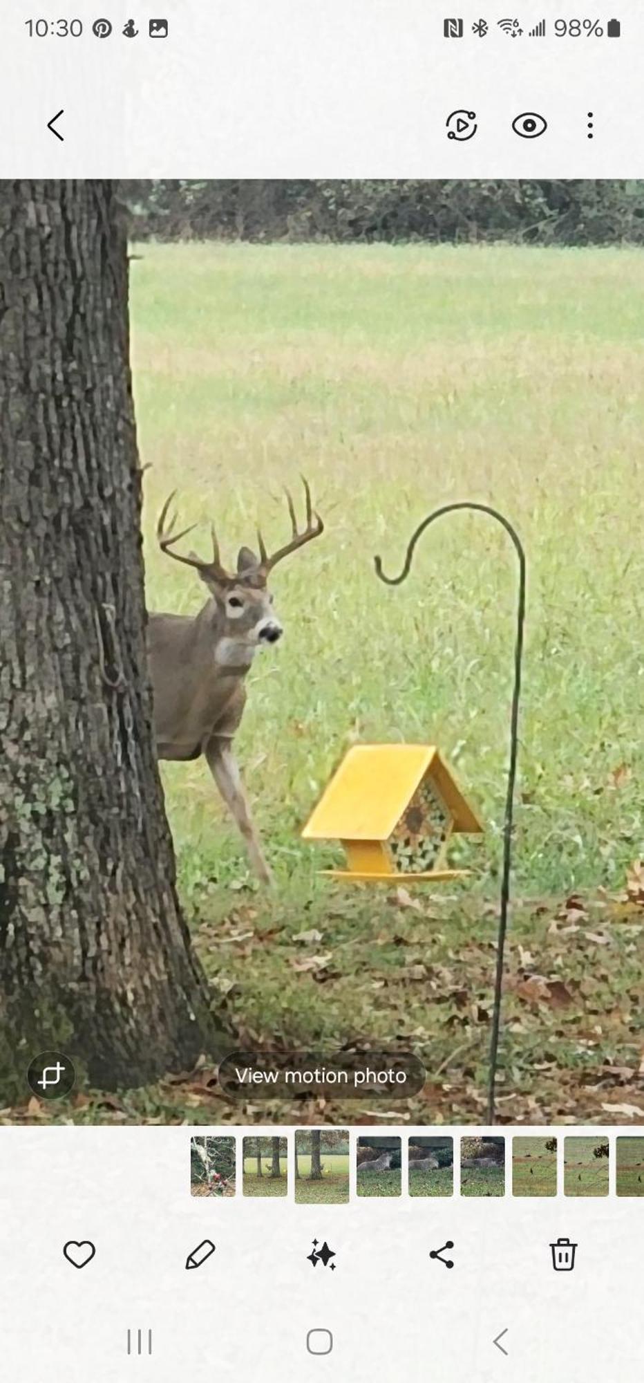 Sisters On Sycamore B&B Russellville Luaran gambar